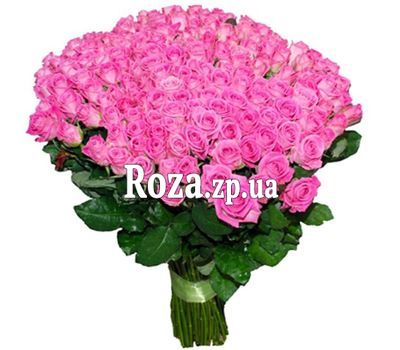 201 розовая роза! 201 розовая роза!