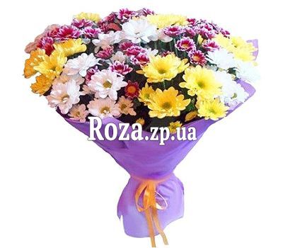 Bouquet of 15 chrysanthemums Bouquet of 15 chrysanthemums