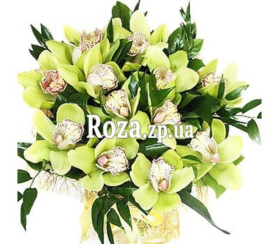 Bouquet of green orchids Bouquet of green orchids