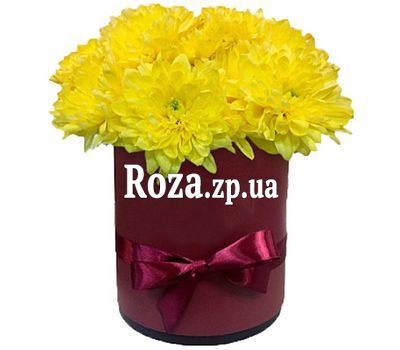 Box of yellow chrysanthemums Box of yellow chrysanthemums