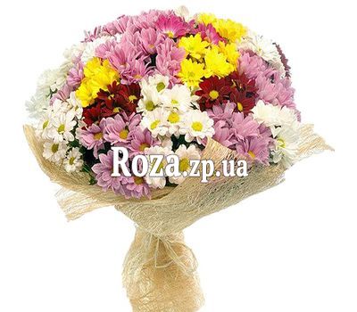 Букет из 35 хризантем Букет из 35 хризантем