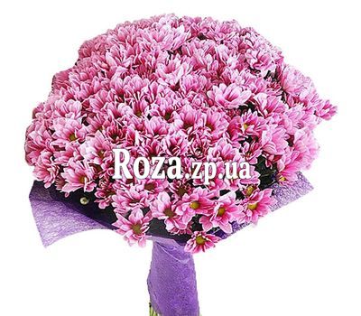 Красивый букет розовых хризантем Красивый букет розовых хризантем