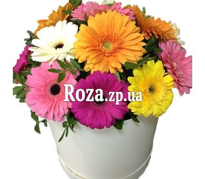 Купить герберы в коробке Купить герберы в коробке
