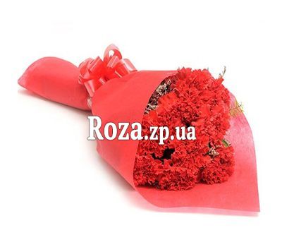 Купити гвоздики Купити гвоздики