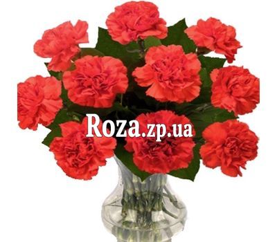 Небольшой букет гвоздик