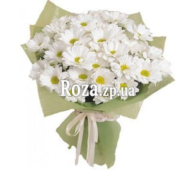 A small bouquet of chamomile chrysanthemums A small bouquet of chamomile chrysanthemums