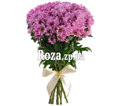 Delicate pink chrysanthemums in a bouquet Delicate pink chrysanthemums in a bouquet