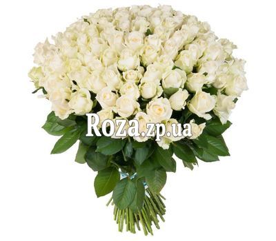 Bouquet of 101 white roses with free delivery to Zaporozhye! Bouquet of 101 white roses with free delivery to Zaporozhye!