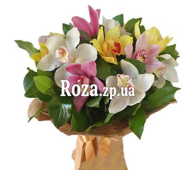 Разноцветные орхидеи Разноцветные орхидеи