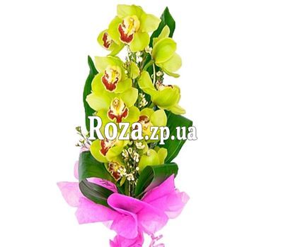 Ветка зеленой орхидеи Ветка зеленой орхидеи