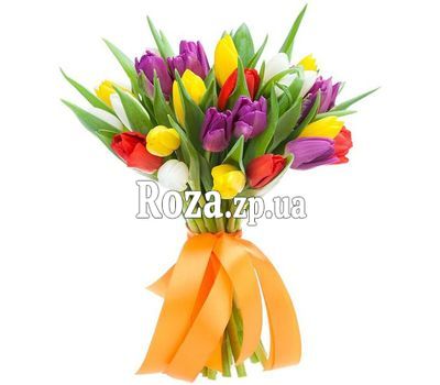 31 magnificent tulip