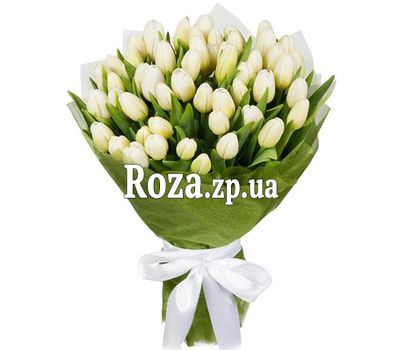 51 белый тюльпан
