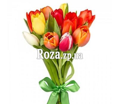 Букет из 11 разноцветных тюльпанов Букет из 11 разноцветных тюльпанов