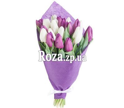 Bouquet of white and purple tulips