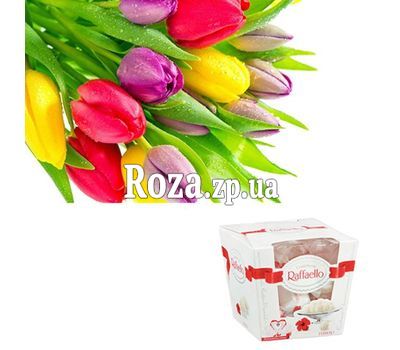 15 tulips and rafaello