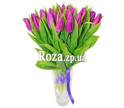 25 purple tulips 25 purple tulips