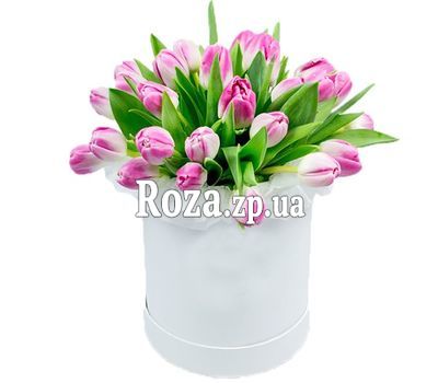 25 pink tulips in a box
