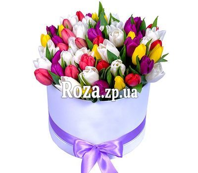 51 тюльпан в коробке