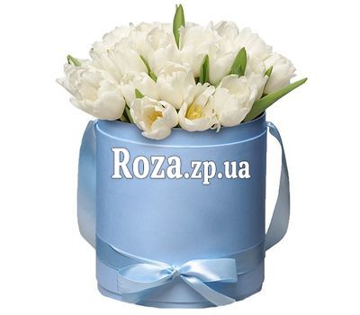 White tulips in a box White tulips in a box