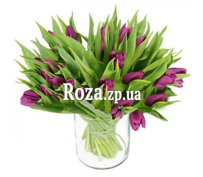 Bouquet of purple tulips