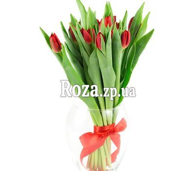 Bouquet of red tulips