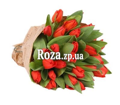 Bouquet of red tulips