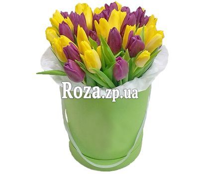 Box of tulips for mom