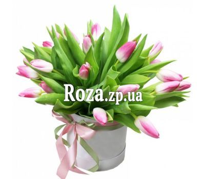 A box of pink tulips