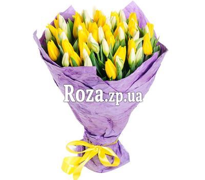 51 різнокольоровий тюльпан 51 різнокольоровий тюльпан