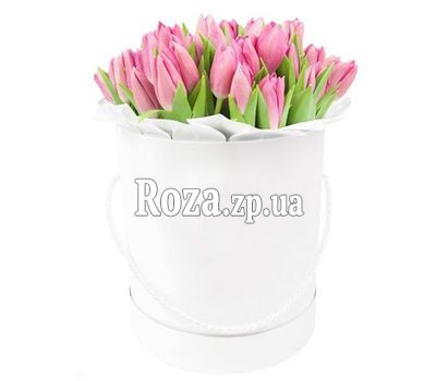 Delicate tulips in a box