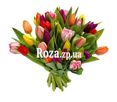 Gift bouquet of tulips