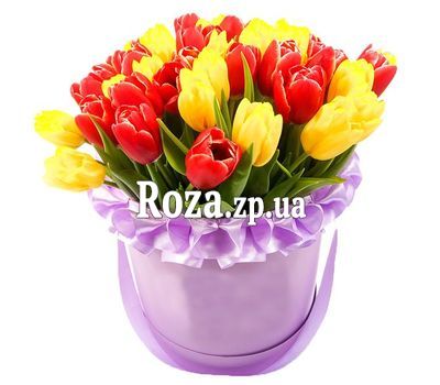 Bright tulips in a box