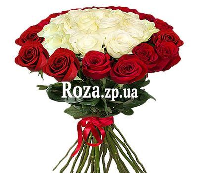 Червоно білий букет імпортних троянд