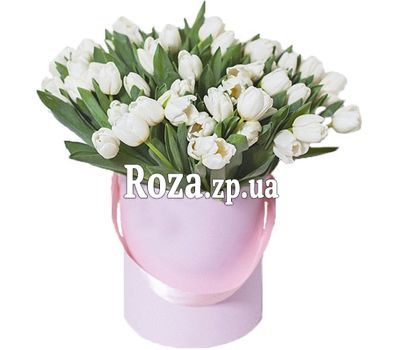 51 white tulip in a box