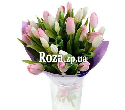 Delicate bouquet of tulips