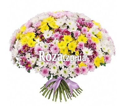 101 хризантема в букете 101 хризантема в букете