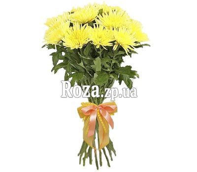 15 желтых крупноголовых хризантем 15 желтых крупноголовых хризантем