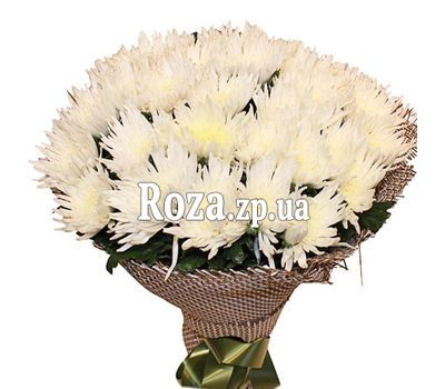 31 одиночная хризантема в букете 31 одиночная хризантема в букете