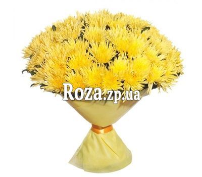 51 желтая одноголовая хризантема 51 желтая одноголовая хризантема