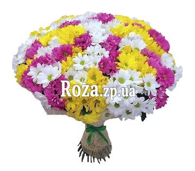 Букет из 51 хризантемы Букет из 51 хризантемы
