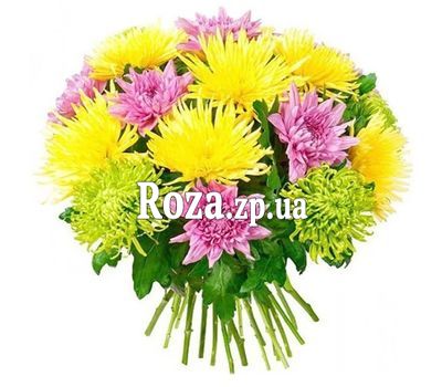 Букет разноцветных одноголовых хризантем Букет разноцветных одноголовых хризантем