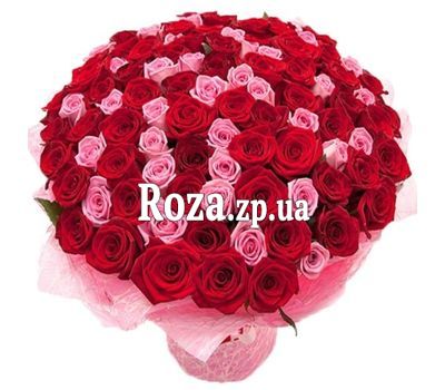 101 рожева і червона троянда