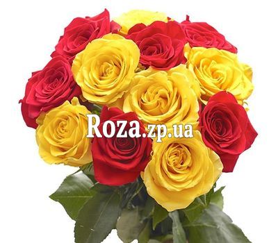 15 red and yellow roses 15 red and yellow roses