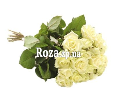 17 white roses 17 white roses