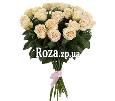 21 cream roses 21 cream roses
