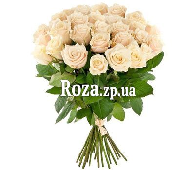 31 cream roses