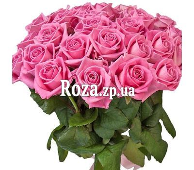 31 розовая роза