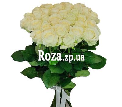 33 белые розы