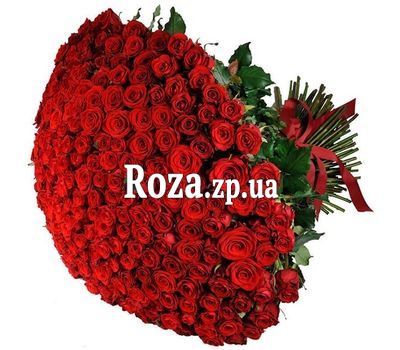 351 красная роза в роскошном букете 351 красная роза в роскошном букете