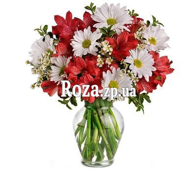 Білі хризантеми і червоні альстромерії в букеті Білі хризантеми і червоні альстромерії в букеті
